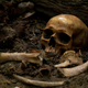Illustration for article titled What a Newly Discovered Gravesite Can Tell Us About Black Life Post-Slavery